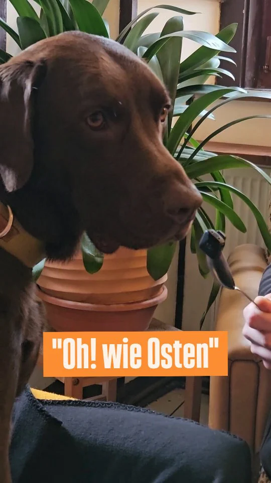 Ost und West - heute immer noch ein Thema?!

Am 15.3. kommt "Oh! wie Osten" in die KAHROLA. Wir freuen uns schon sehr! ☕️✨️

Mehr Infos hier auf Insta oder auf www.kahrola.de

#ostdeutschland